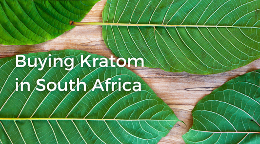 Where to Buy Kratom in South Africa? How to Buy Kratom in South Africa?