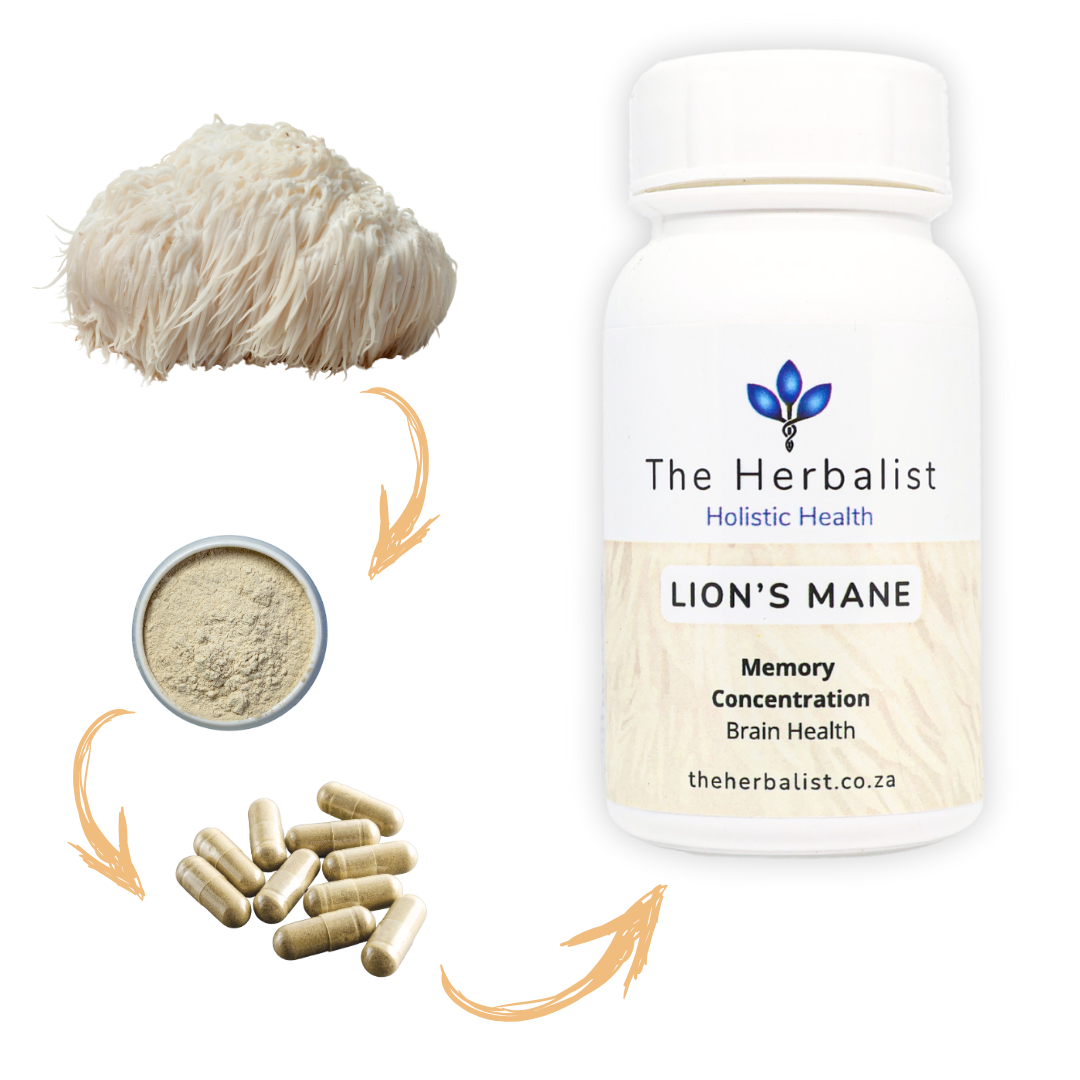 Lion's Mane 60/120 Capsules