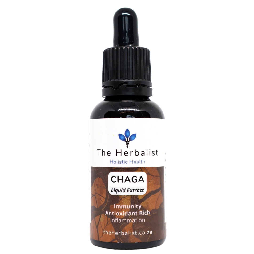 The Herbalist Chaga Liquid Extract – Antioxidant-rich mushroom tincture for immune support, inflammation reduction, and cellular protection.