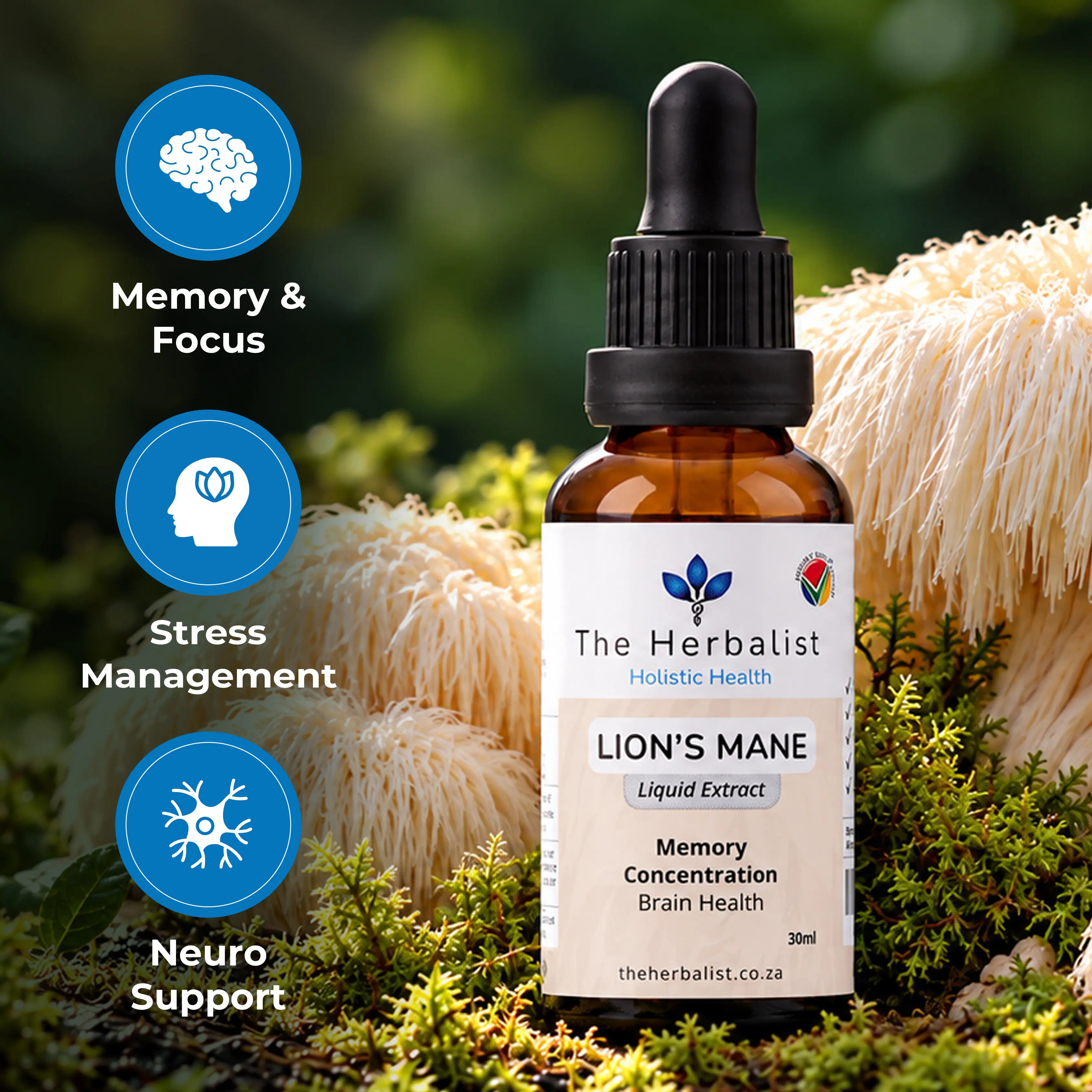 Lion's Mane Liquid Extract