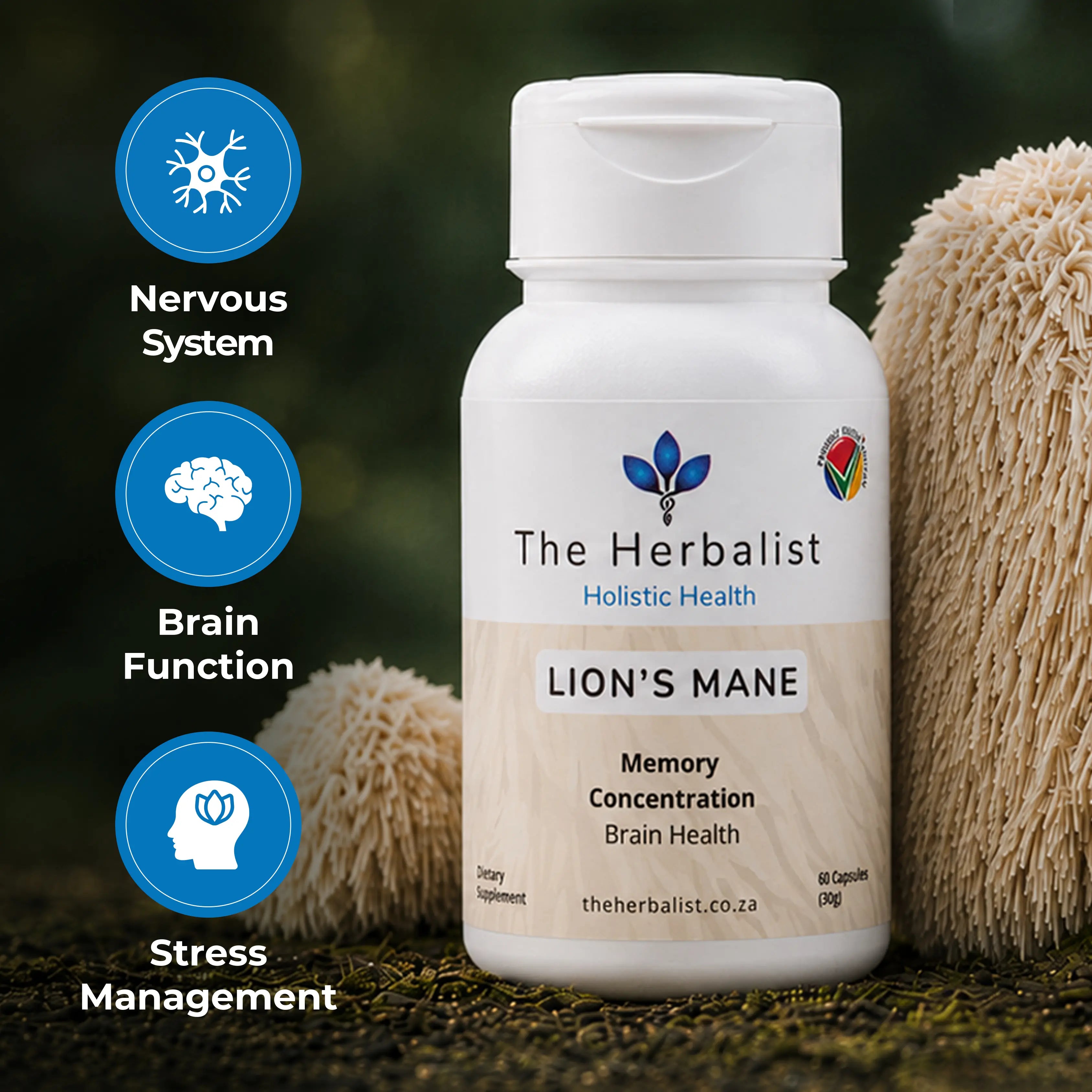 Lion's Mane 60/120 Capsules