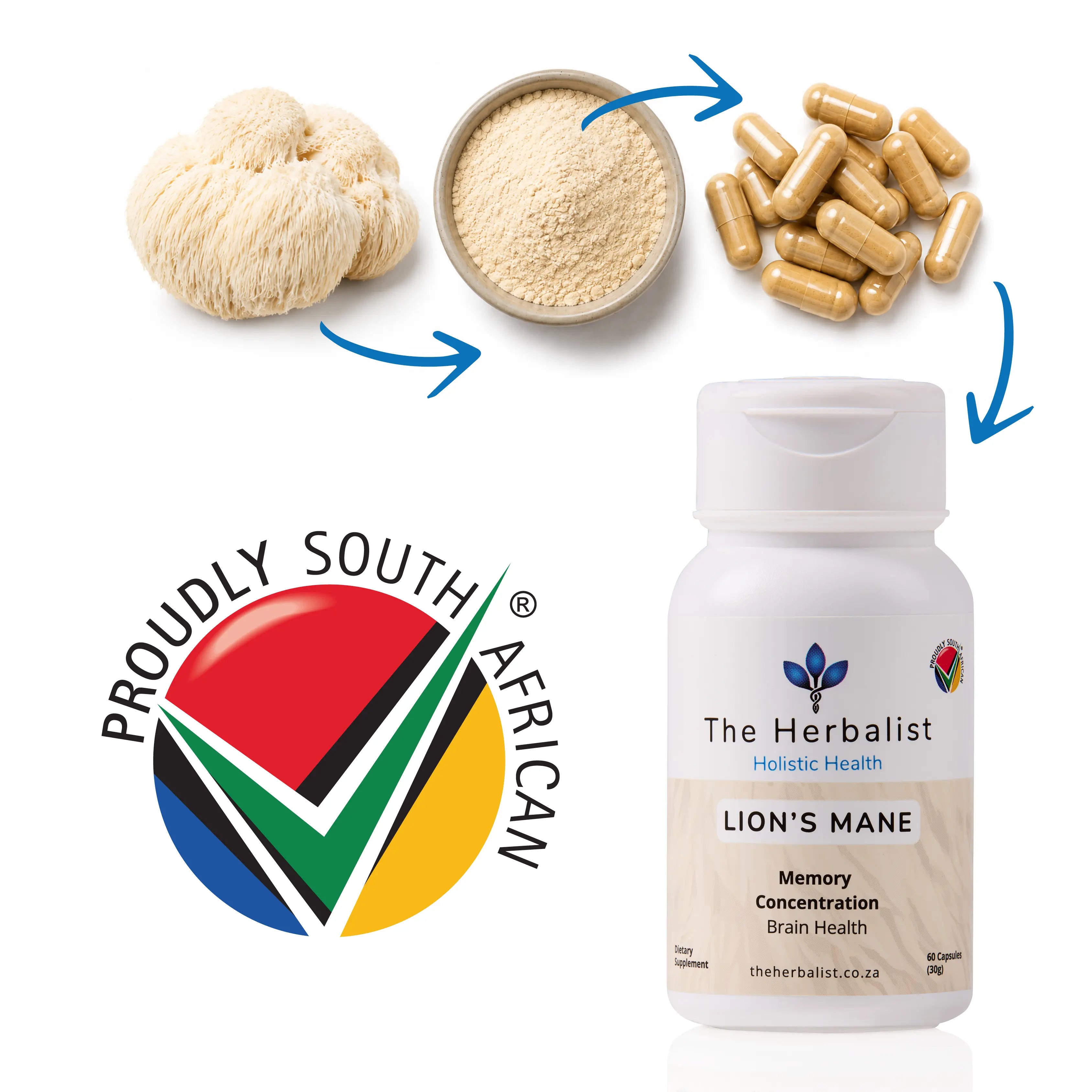 Lion's Mane 60/120 Capsules