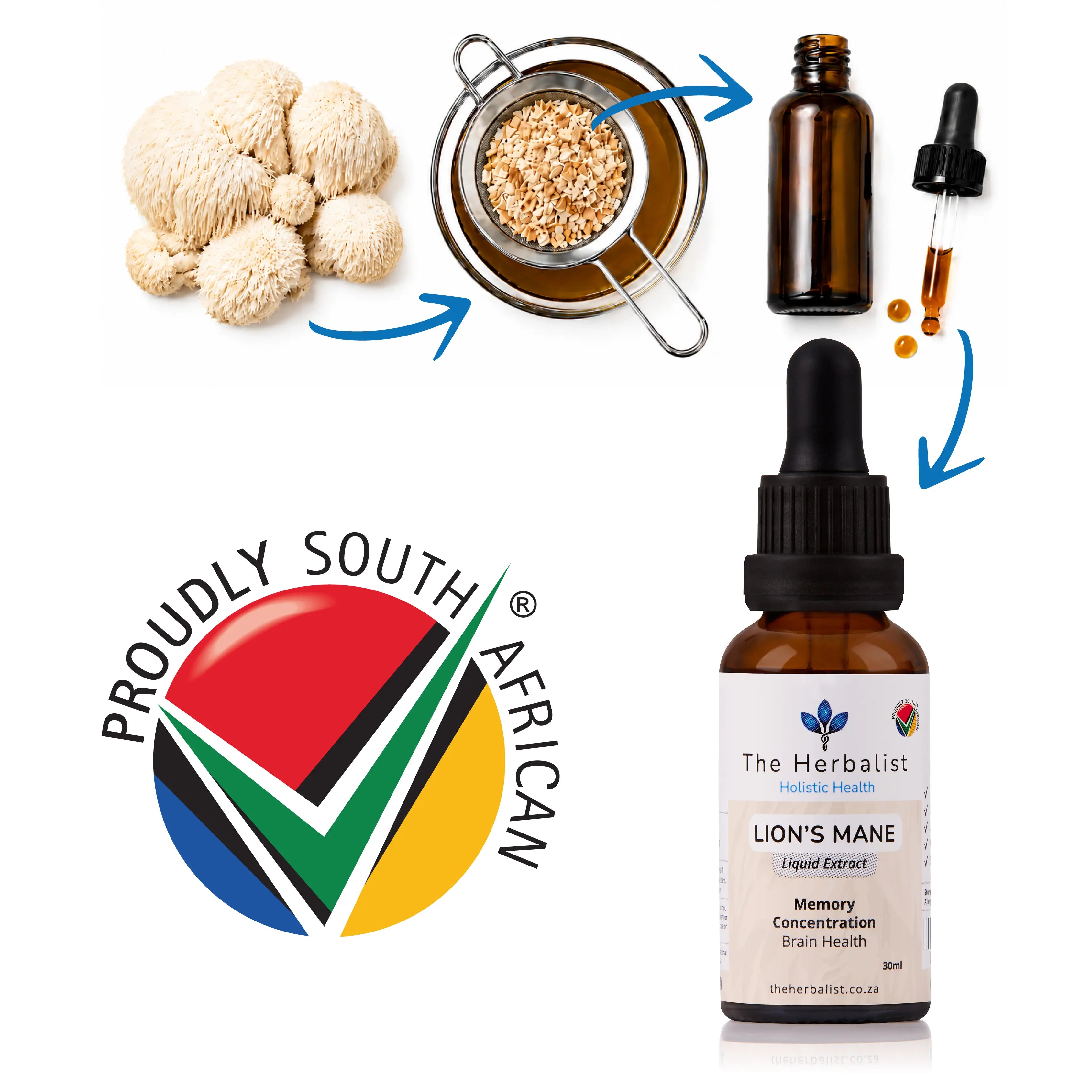 Lion's Mane Liquid Extract