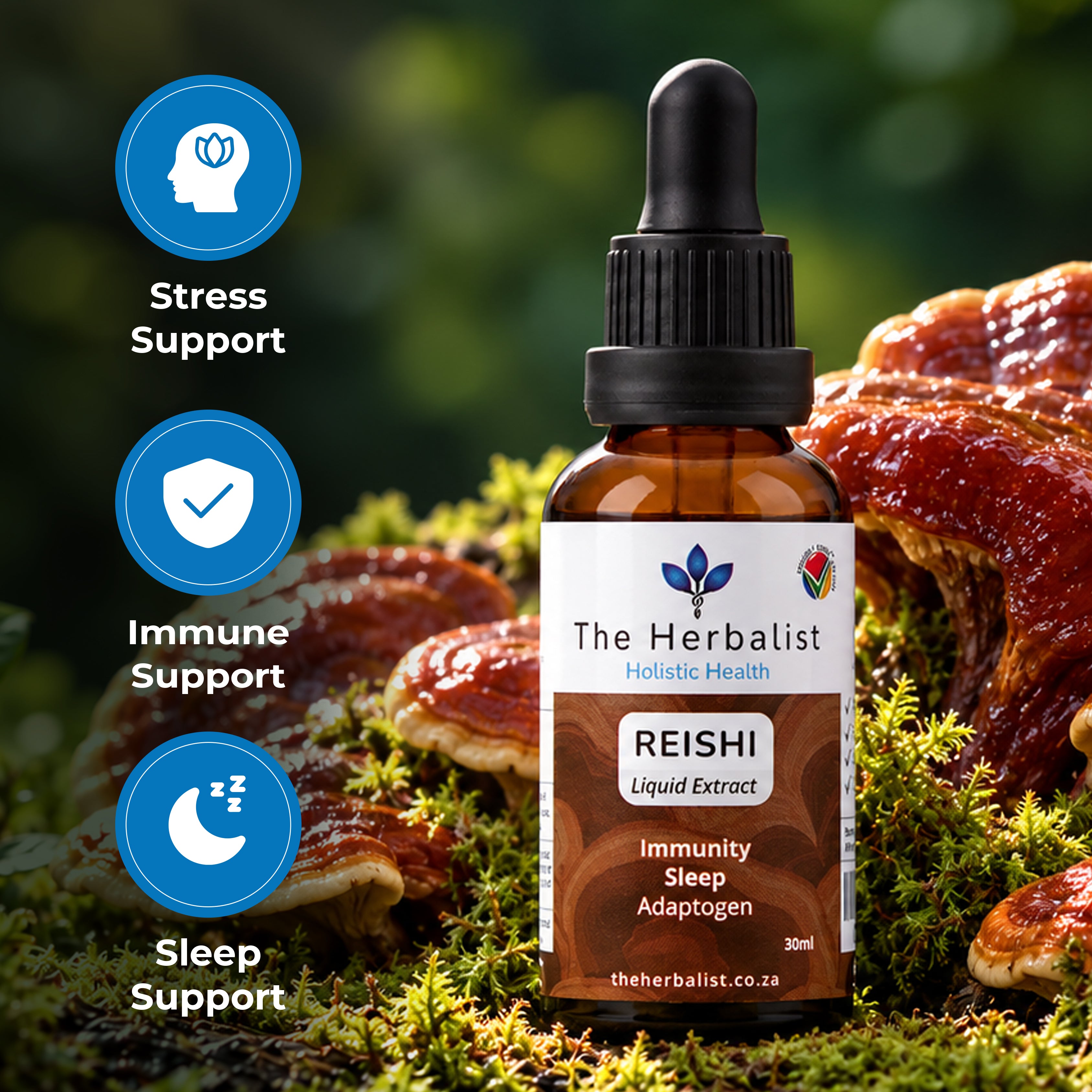 Reishi Liquid Extract