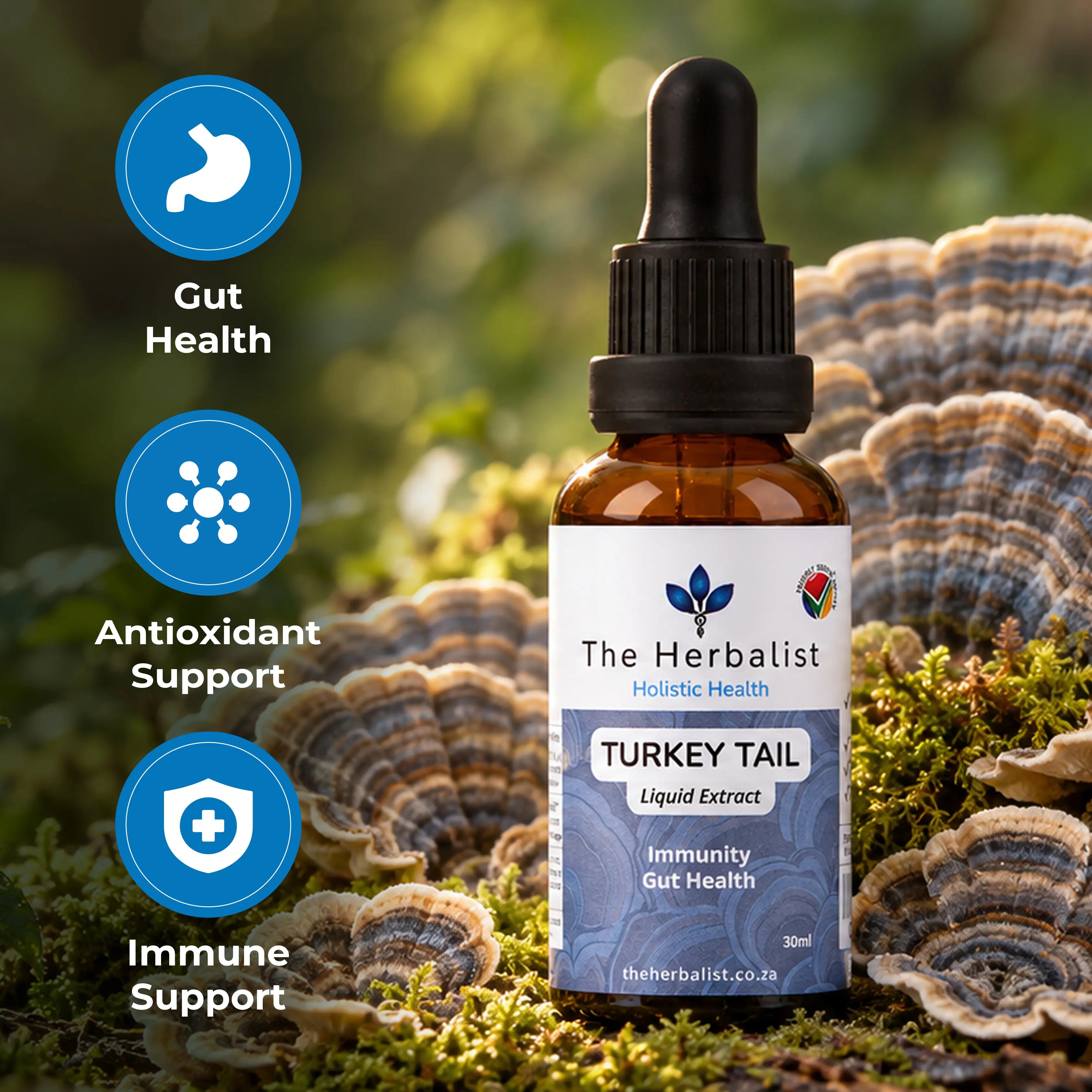 Turkey Tail Liquid Extract